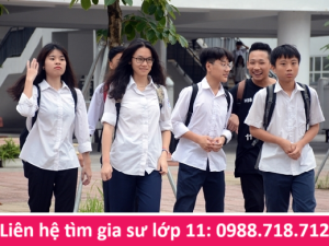 Gia sư Toán lớp 11 uy tín tại nhà ở Hà Nội