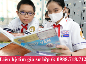 Gia sư Toán lớp 6