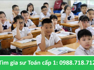 Gia Sư Toán Cấp 1